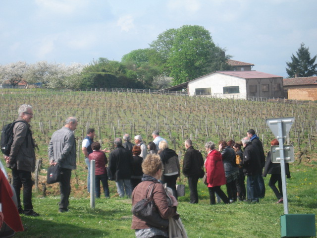 Journée oenologique 18 avril 2015