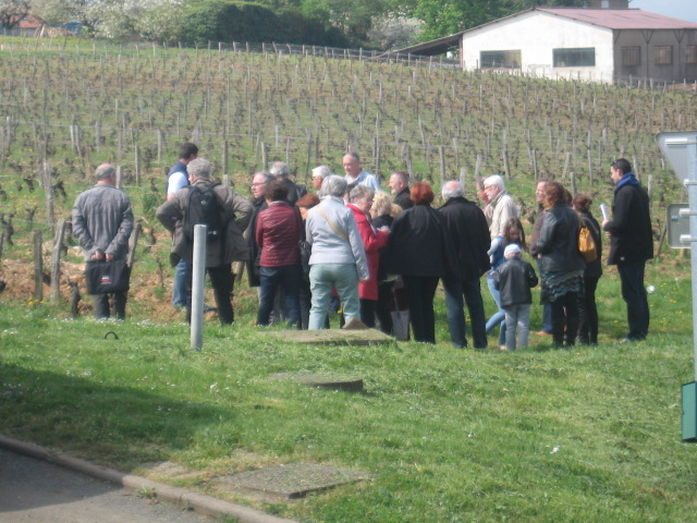 Journée oenologique 18 avril 2015