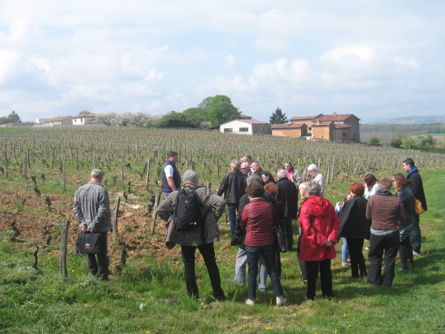 Journée oenologique 18 avril 2015