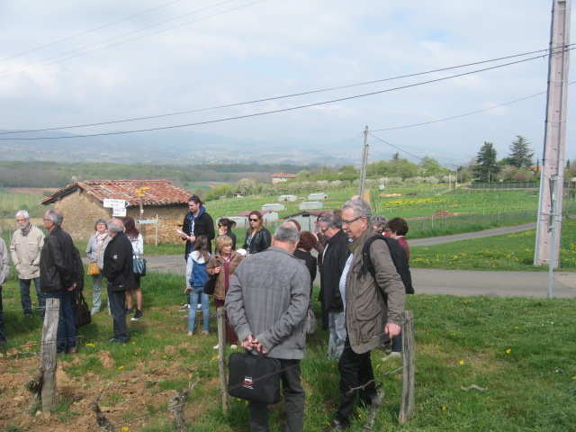 Journée oenologique 18 avril 2015