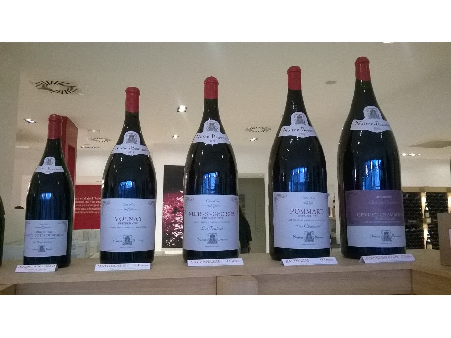 Nuiton beaunois